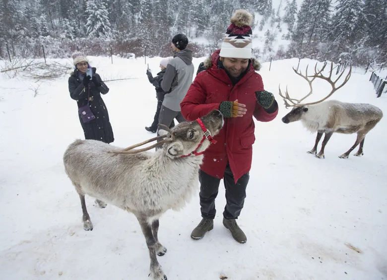 Leavenworth Reindeer Farm