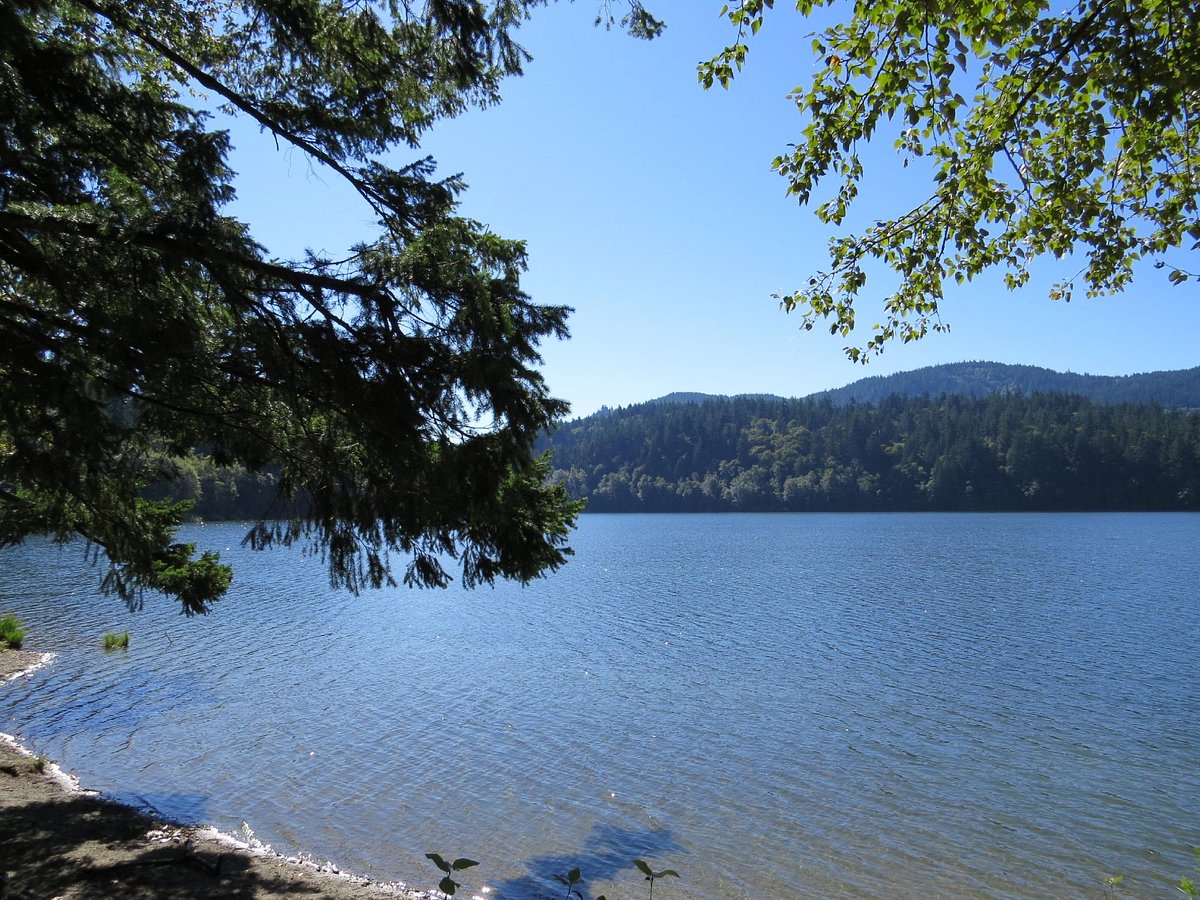 Lake Padden Park