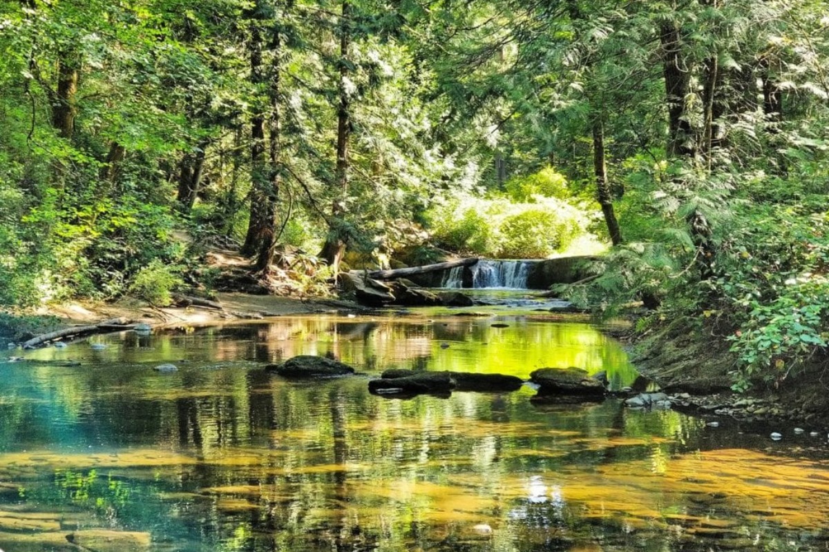 Whatcom Falls Park