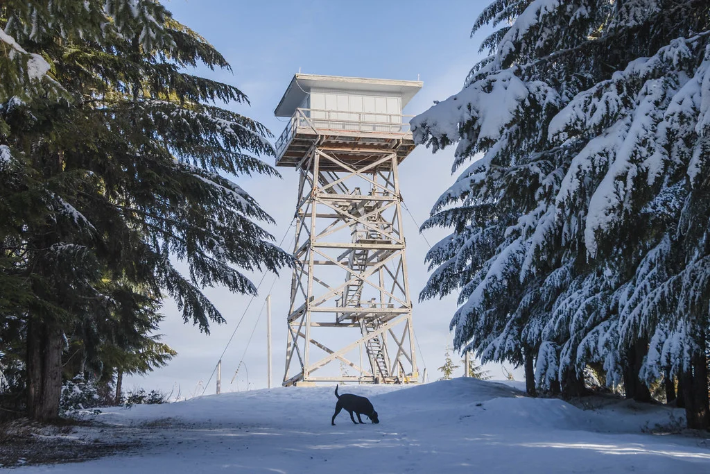 North Mountain Lookout